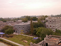 P1040442.jpg