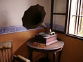 P1040466.jpg