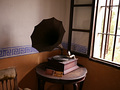 P1040467.jpg