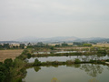 P1040469.jpg