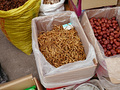P1040484.jpg