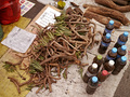 P1040486.jpg