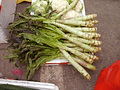 P1040498.jpg