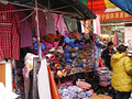 P1040505.jpg