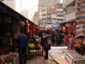 P1040506.jpg