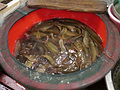 P1040524.jpg