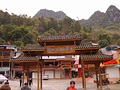 P1040539.jpg
