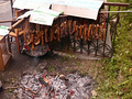P1040541.jpg