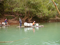 P1040549.jpg