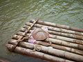 P1040559.jpg