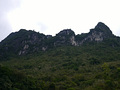 P1040566.jpg