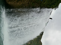 P1040577.jpg