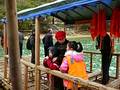 P1040589.jpg