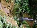 P1040603.jpg