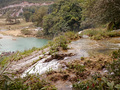 P1040610.jpg