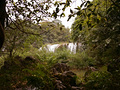 P1040613.jpg