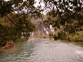 P1040617.jpg