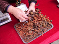 P1040619.jpg