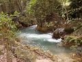 P1040620.jpg