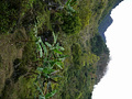 P1040624.jpg