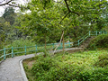 P1040626.jpg
