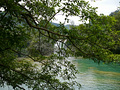 P1040628.jpg