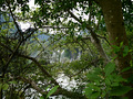 P1040630.jpg