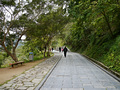 P1040646.jpg