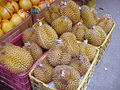 P1040665.jpg