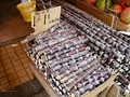 P1040666.jpg