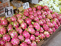 P1040668.jpg