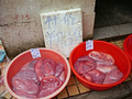 P1040673.jpg