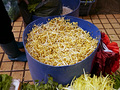 P1040688.jpg
