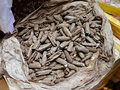 P1040694.jpg