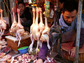 P1040699.jpg