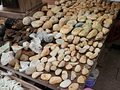 P1040709.jpg