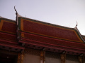 P1090445.jpg