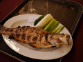 P1090459.jpg