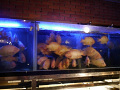 P1090460.jpg