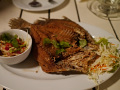 P1090476.jpg