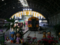 P1090499.jpg