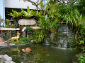 P1090517.jpg
