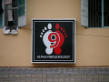 P1090558.jpg