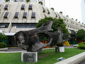 P1090559.jpg