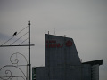 P1090562.jpg