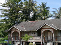 P1090594.jpg