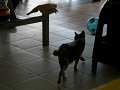 P1090615.jpg
