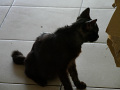 P1090630.jpg