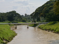 P1090637.jpg