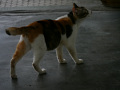 P1090665.jpg